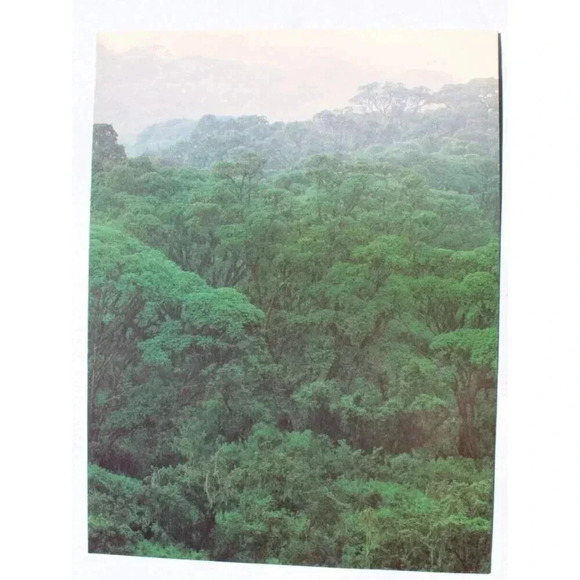 Vtg 1988 Gorillas In The Mist Promo Movie Press Screening Brochure Program - Picture 3 of 3